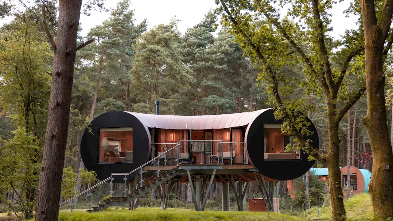 Escape to a Unique Treehouse Getaway This Autumn