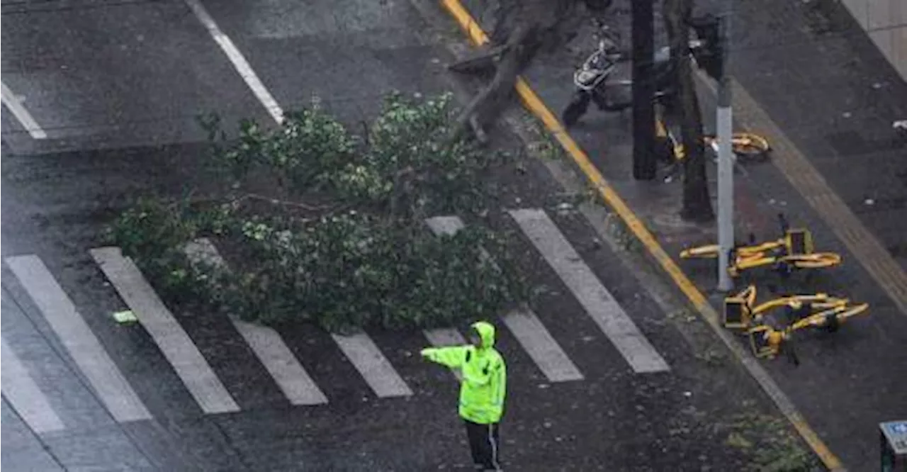 Strongest typhoon to hit Shanghai since 1949 shuts down megacity