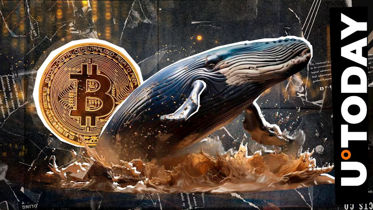 Ancient Bitcoin Whale Suddenly Returns With Millions and Massive Profit