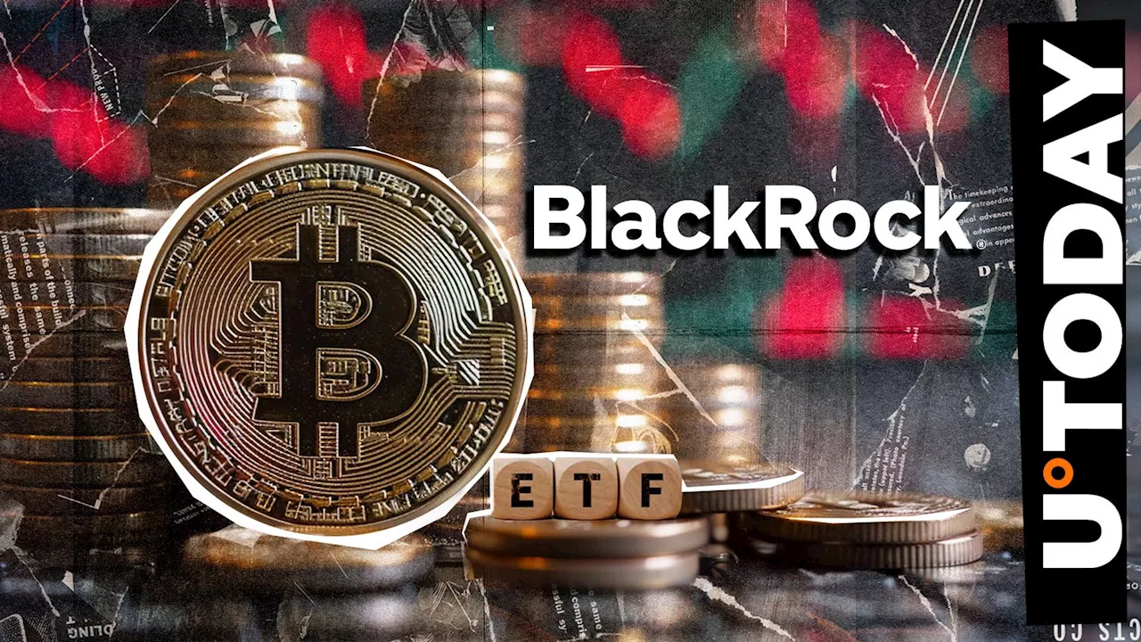 Top Bitcoin ETF Expert Debunks Insane BlackRock Rumor