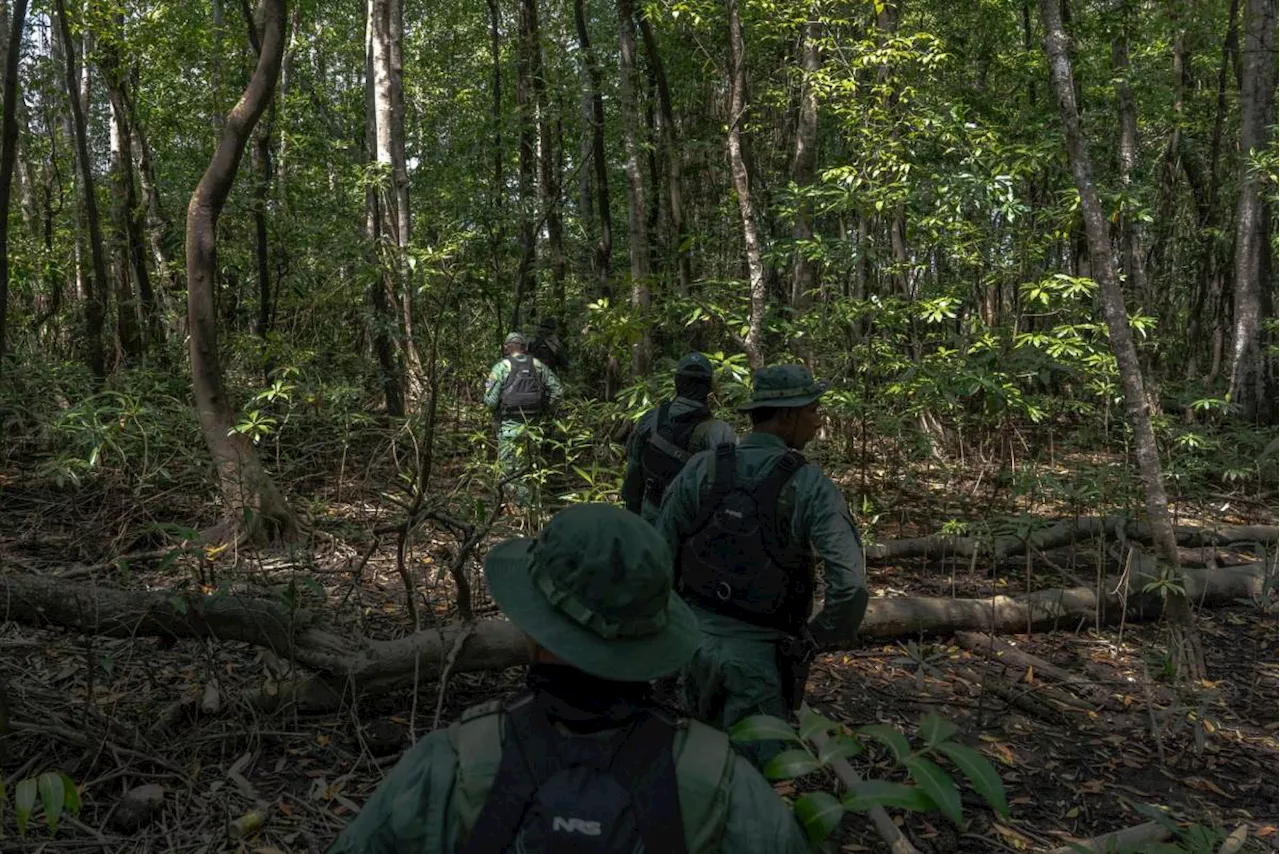 La violencia se apodera de los parques nacionales de Costa Rica