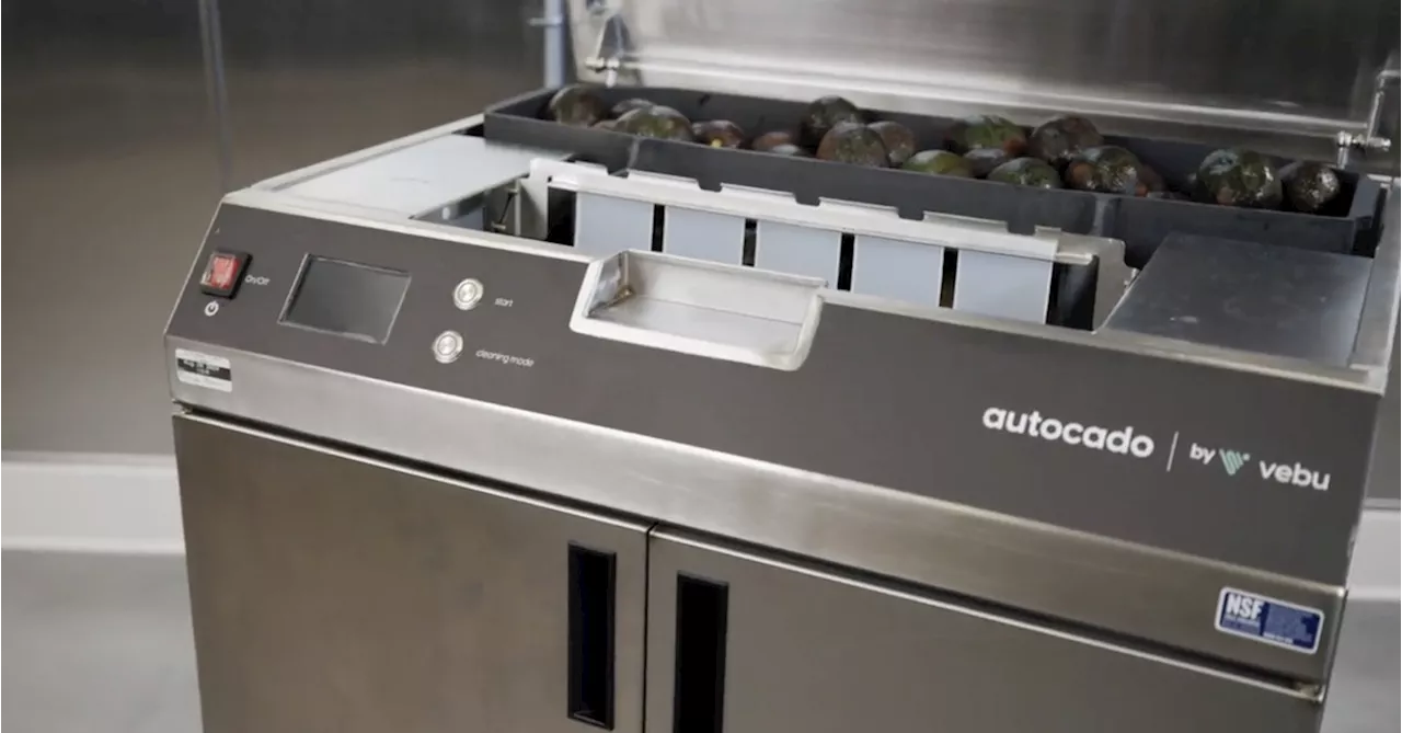 Chipotle is testing avocado-peeling robots