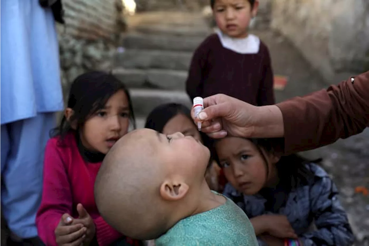 The Taliban have suspended polio vaccination campaigns in Afghanistan, the UN says