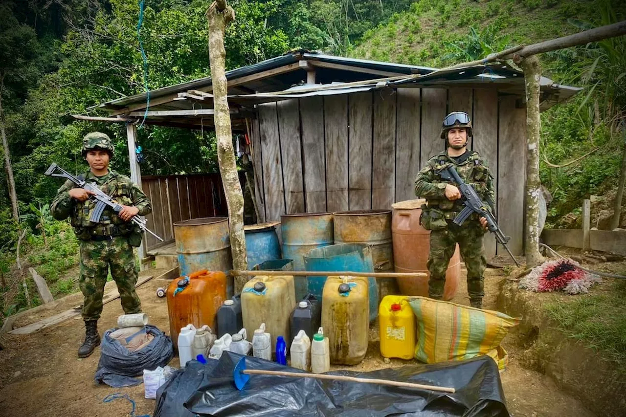 Fuerzas Militares destruyeron once laboratorios de pasta base de las disidencias en Meta