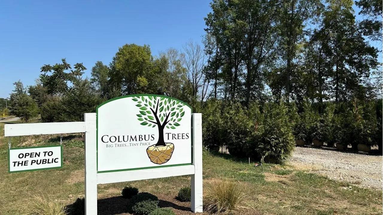 Central Ohio drought makes tree business fight to keep trees alive