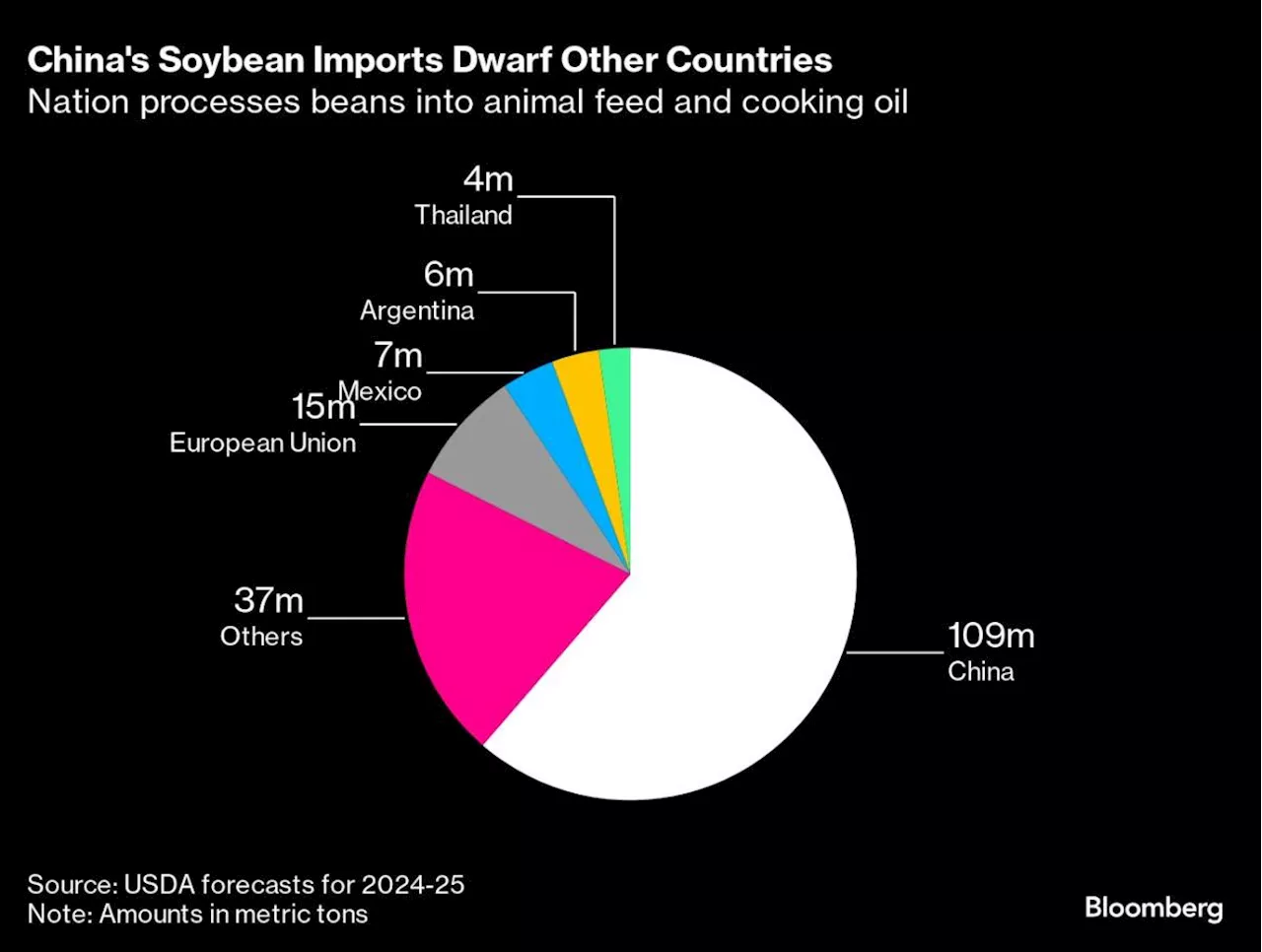 China’s Fading Hunger for Grain Spells Trouble for World Farmers