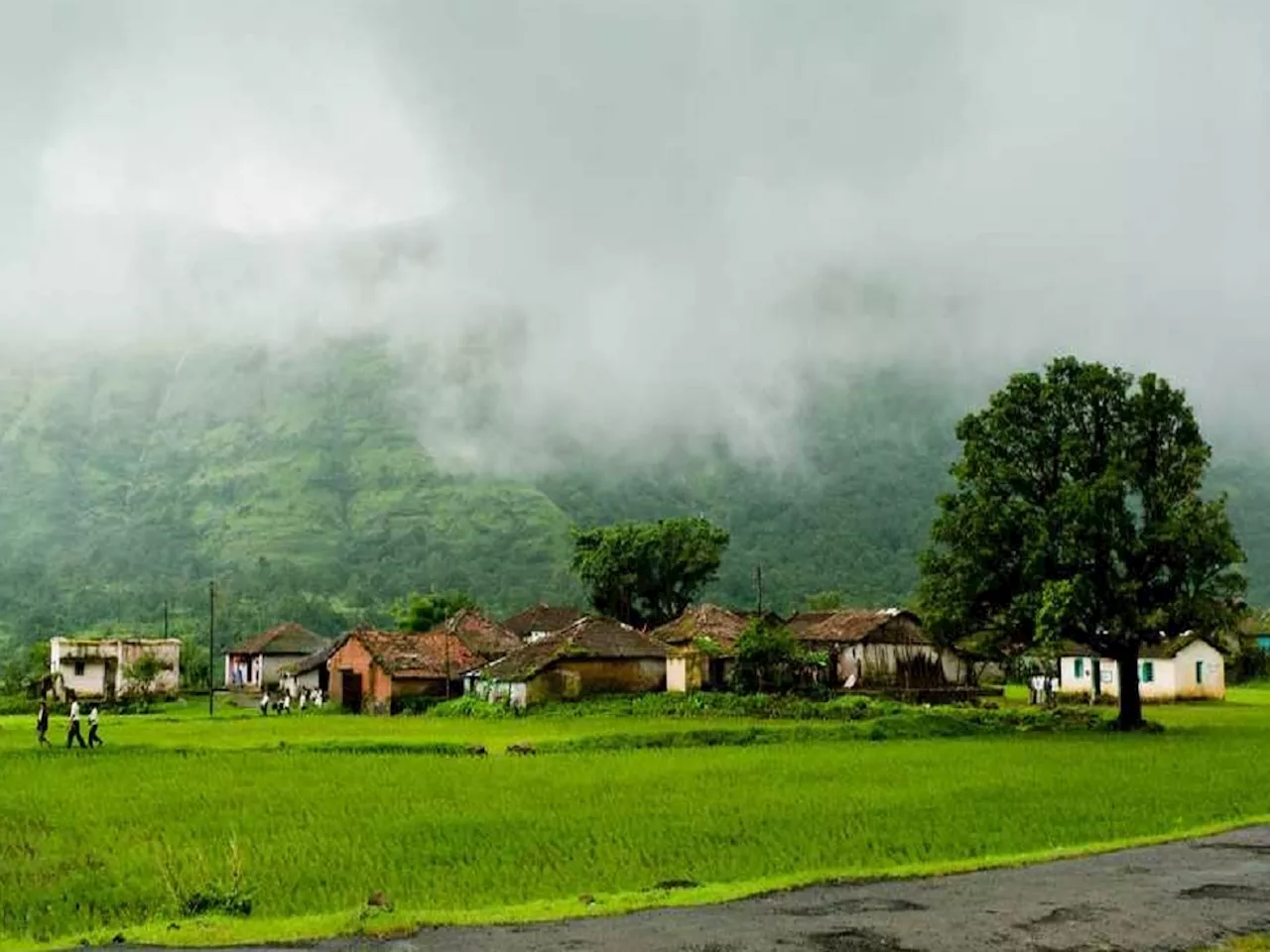 खतरनाक पाऊस आणि थरारक निसर्ग! पावसाळ्यात महाराष्ट्रातील या गावात जायला डेरिंग लागते