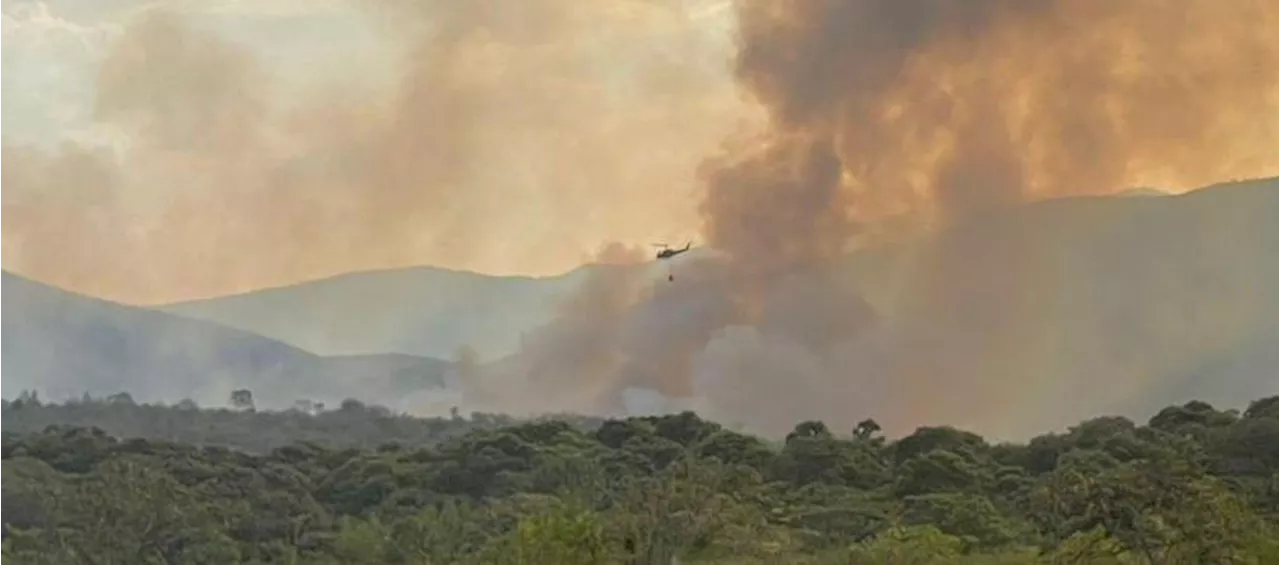 El fuego arrasa más de 12 mil hectáreas de bosque en diversas zonas del país