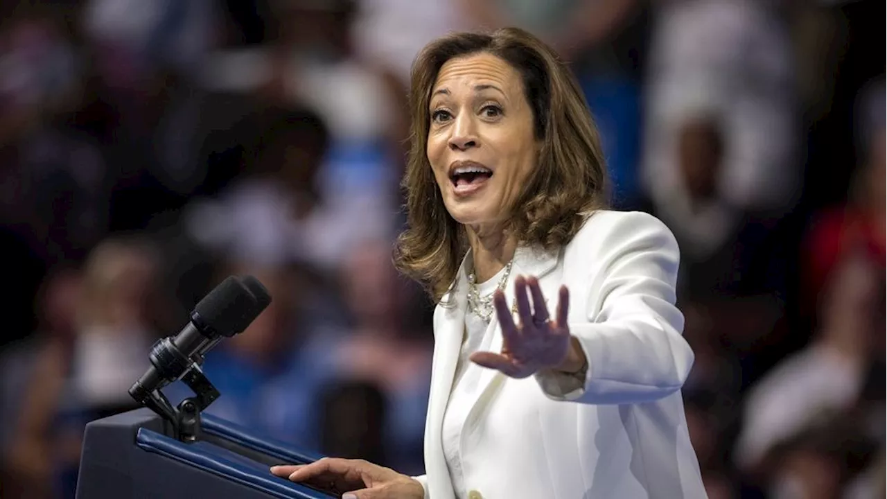 Kamala Harris' 2018 Elevator Joke Resurfaces After Trump Assassination Attempt