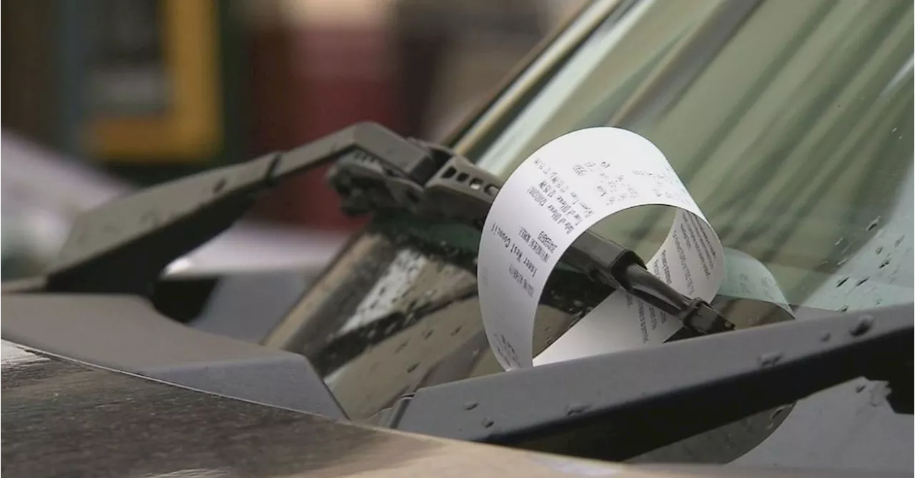 NSW government bans councils from issuing ticketless parking fines