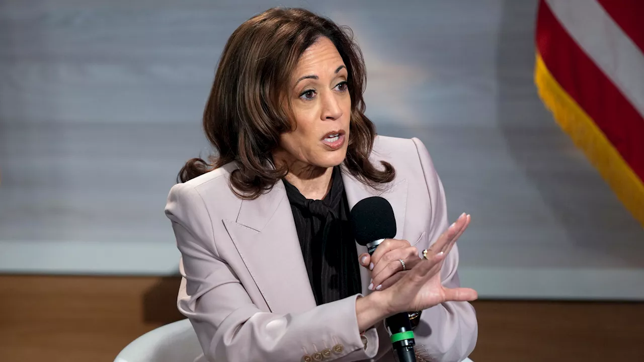 'It's a crying shame': Harris slams 'harmful' attacks on Haitian migrants in NABJ interview