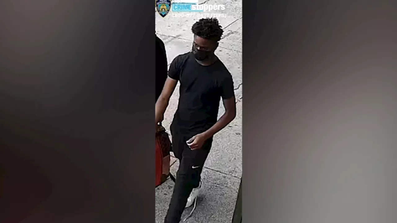 NYPD searching for teen gunman after driver shot and killed in St. Albans