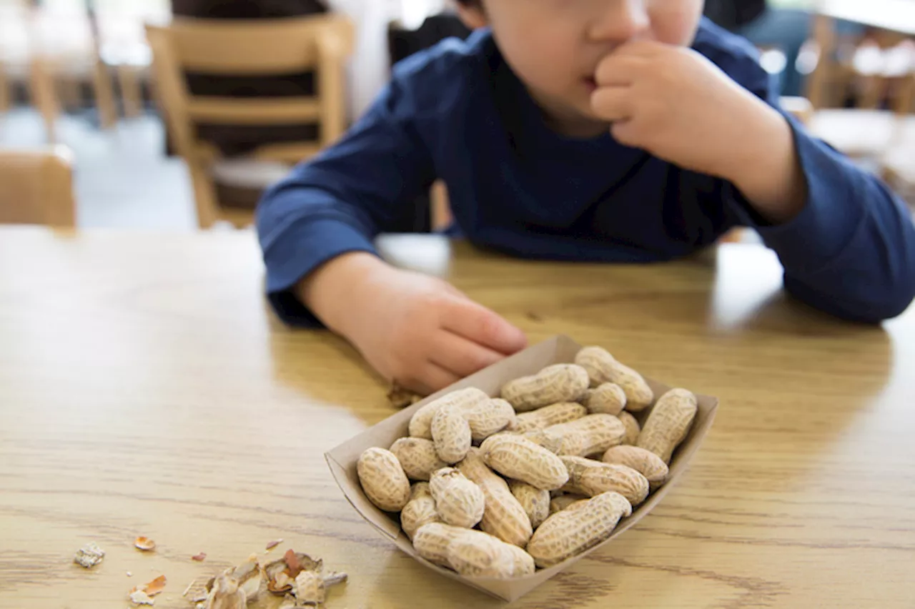 Al Meyer desensibilizzazione a 2500 bimbi con allergie alimentari