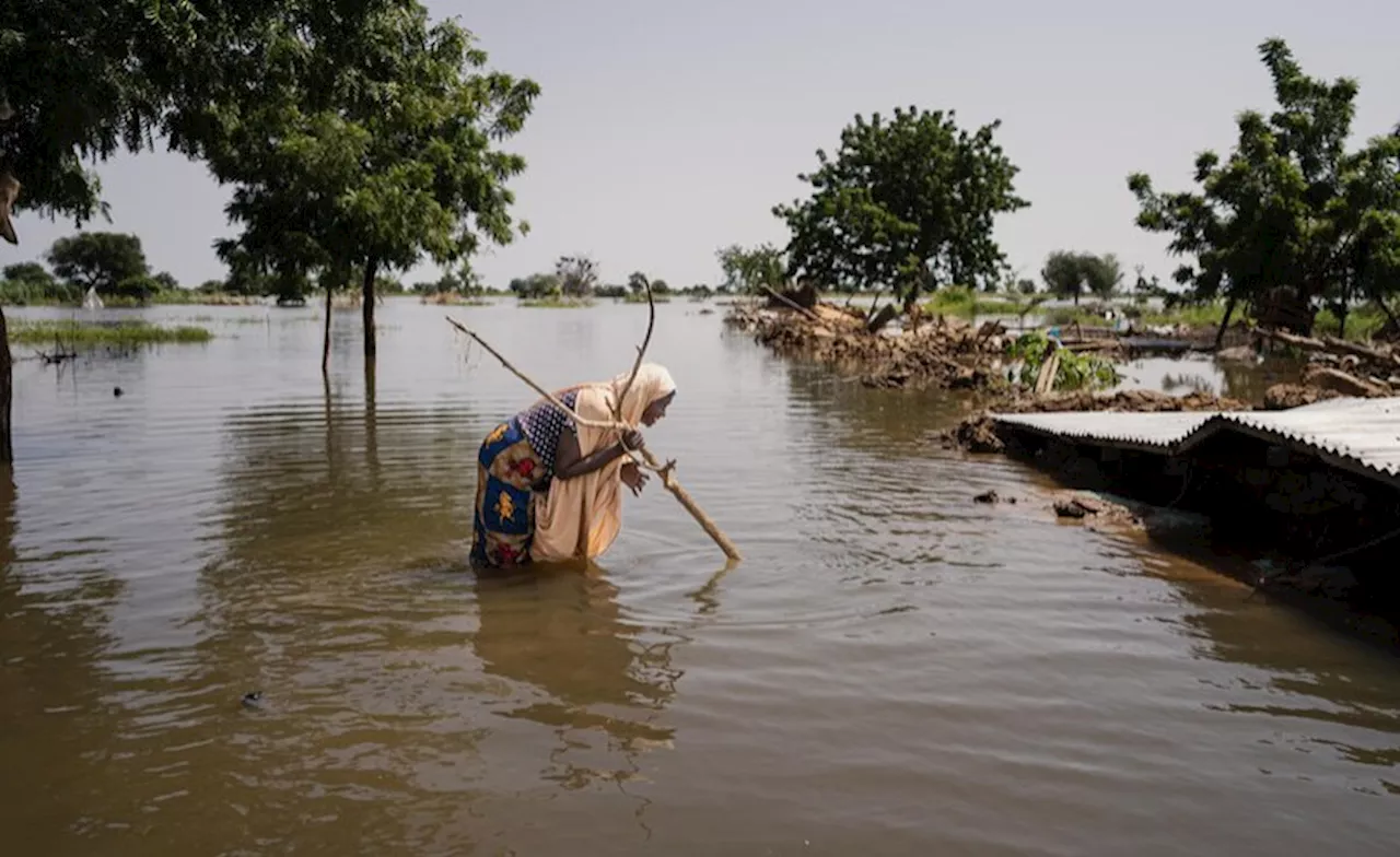 West Africa: Floods Devastate West and Central Africa