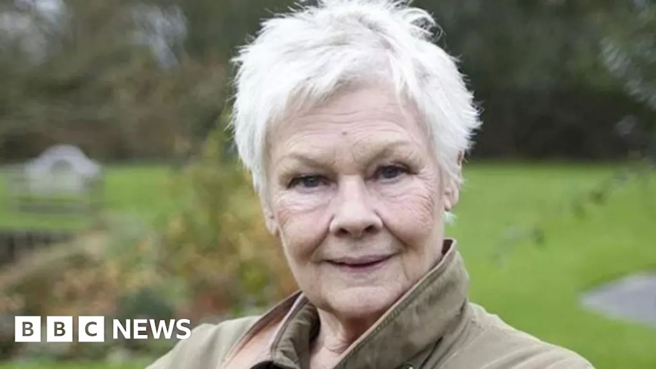 Dame Judi Dench calls for the protection of Ripon Cathedral trees