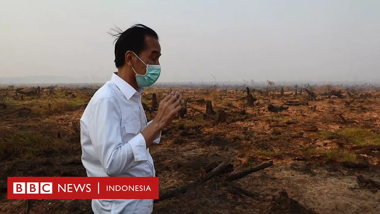 Karhutla: Jokowi dinilai 'gagal' atasi kebakaran hutan dan lahan, bagaimana era Prabowo-Gibran nanti?