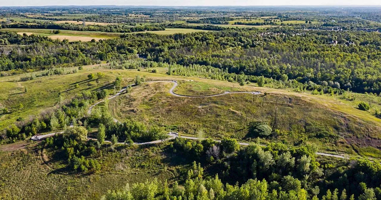 Beare Hill Park: A Thriving Oasis in Scarborough