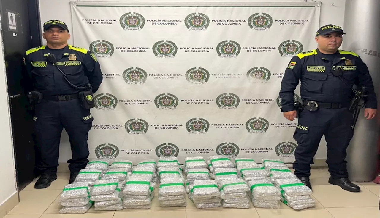 Incautan en la Terminal del Norte de Medellín cerca de 50.000 gramos de marihuana