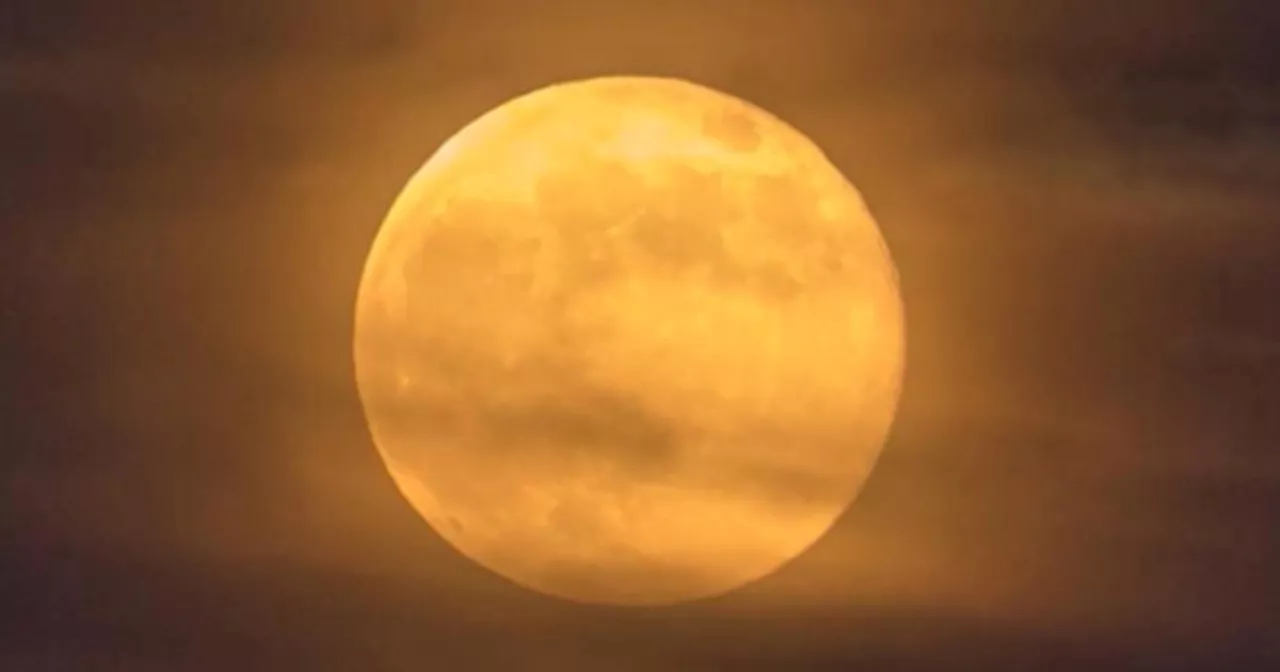 September's Harvest Supermoon to Feature Partial Lunar Eclipse