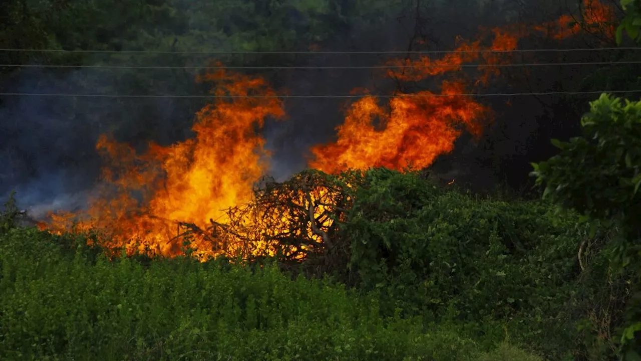 Controlar incendios forestales con fuego: esta es la propuesta de la Ungrd