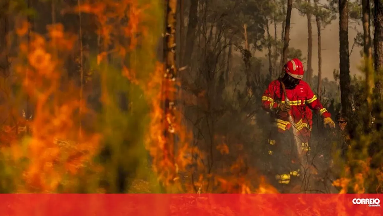 Frentes de incêndio começaram em Paços de Ferreira e evoluíram para Santo Tirso