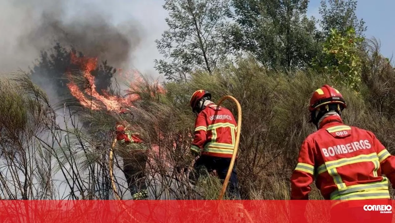 Mais de 250 bombeiros morreram em serviço nos últimos 44 anos