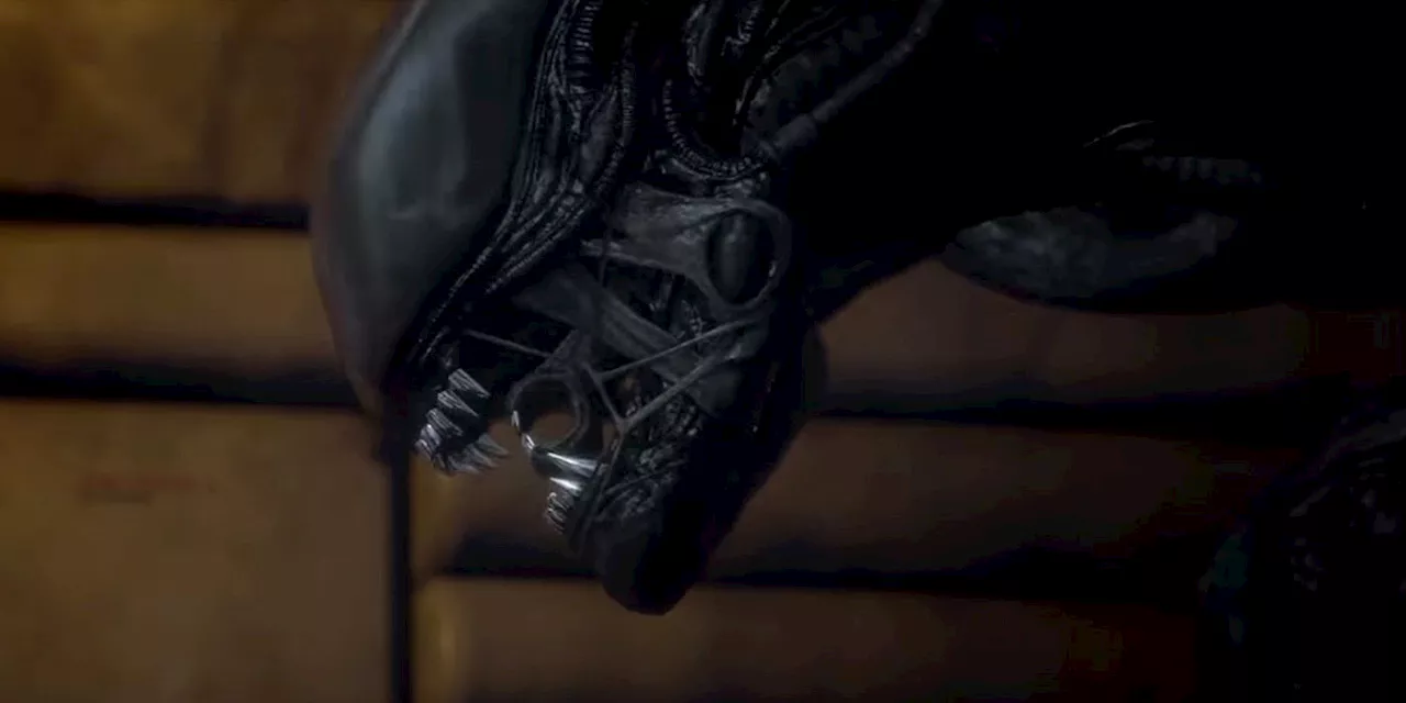 Confirmed! The Xenomorphs Are Coming to Earth in FX’s Upcoming ‘Alien’ Series