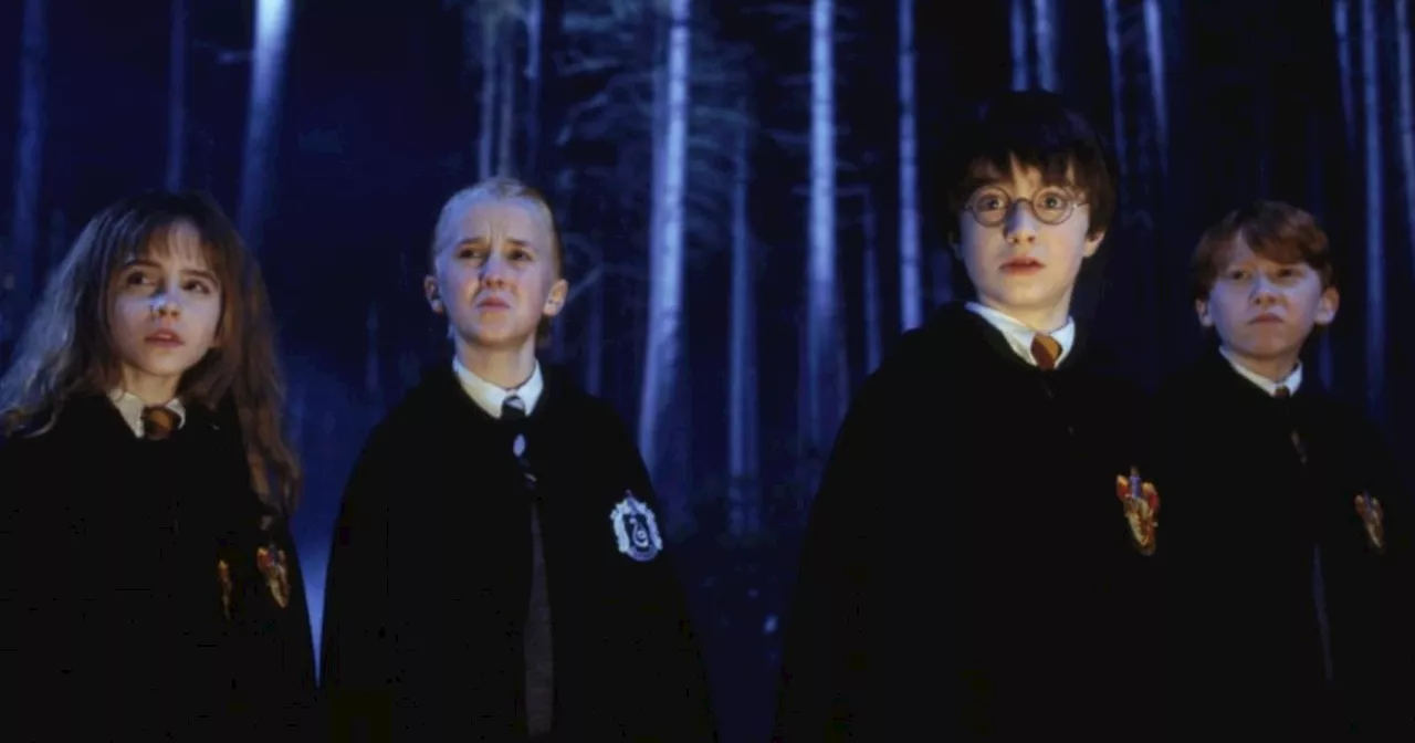 HBO's Harry Potter Series: Casting and Production Updates Revealed