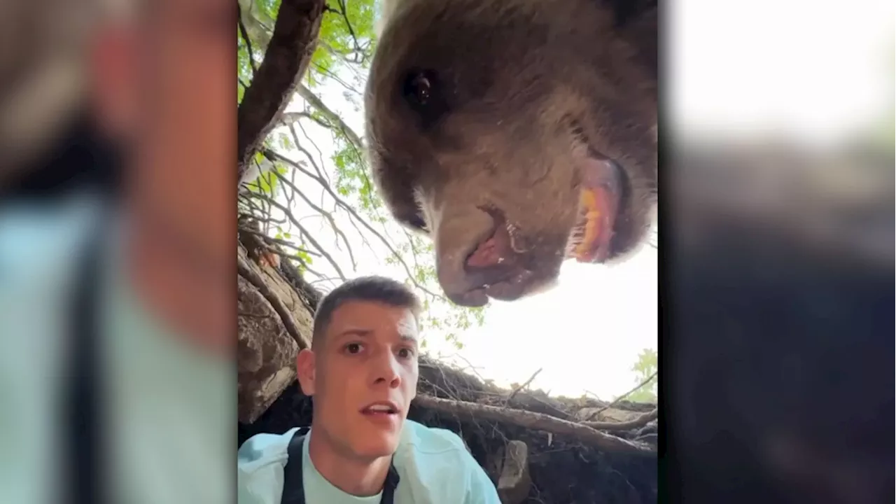 Influencer has a close encounter with a bear after climbing into a den