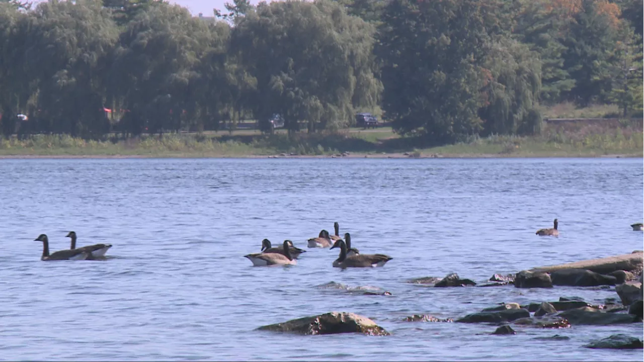 Sunny, hot and humid weather continues in Ottawa