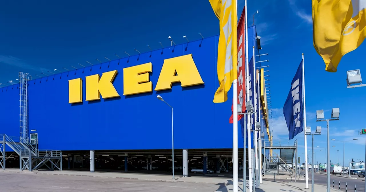 Parrets IKEA-køb tog pludselig en uventet drejning: Nu er de fanget i en næsten ubegribelig situation