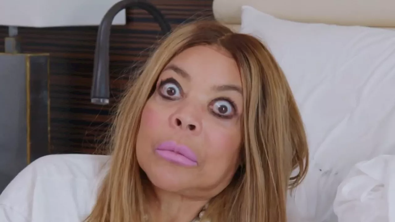 Wendy Williams 'only received $82K from Lifetime documentary' after guardian claimed show 'blatantly...