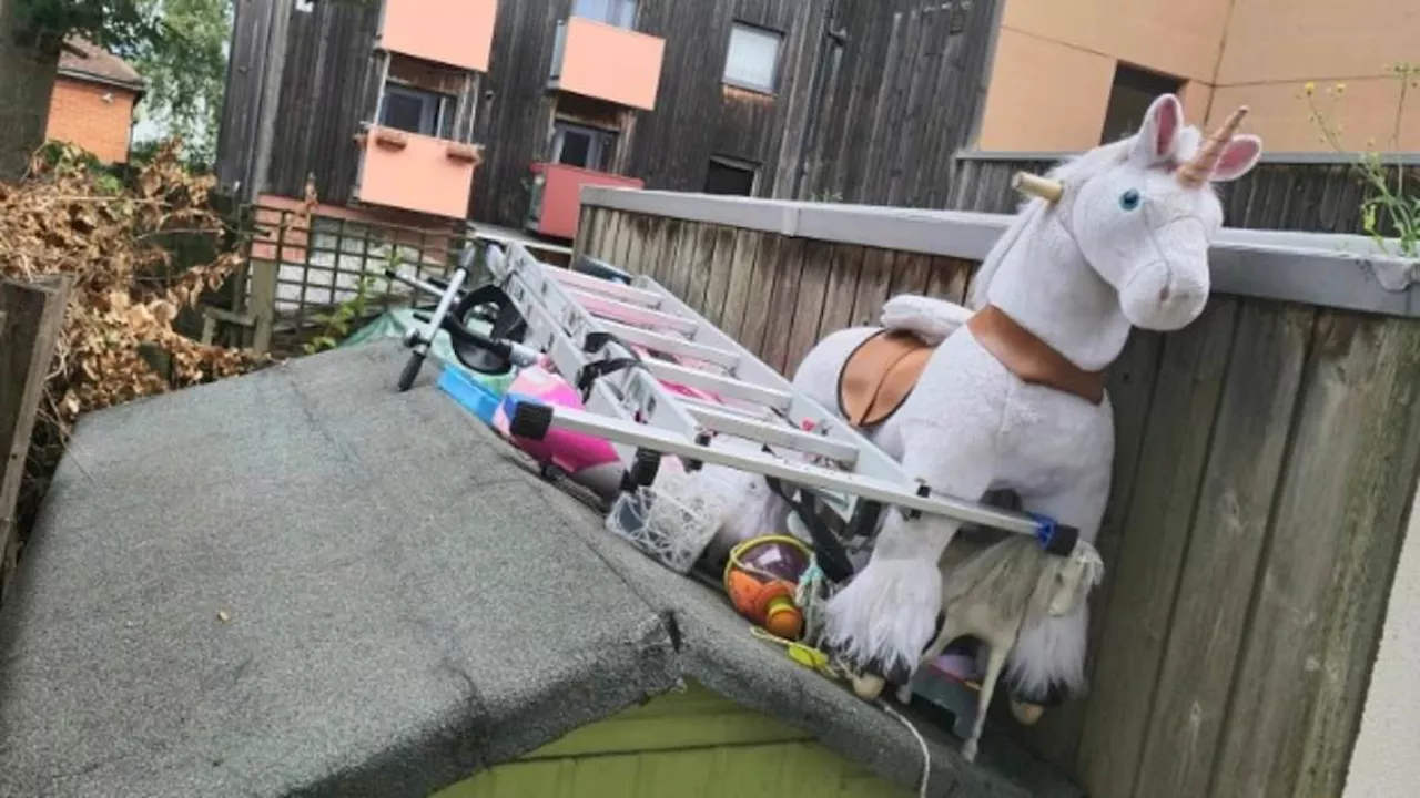 Mother is threatened with legal action by neighbours unless she removes 'eyesore' toy unicorn she...