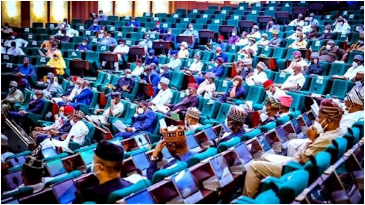 NNPCL-Dangote fuel price outrageous, exploitative – Reps Minority Caucus