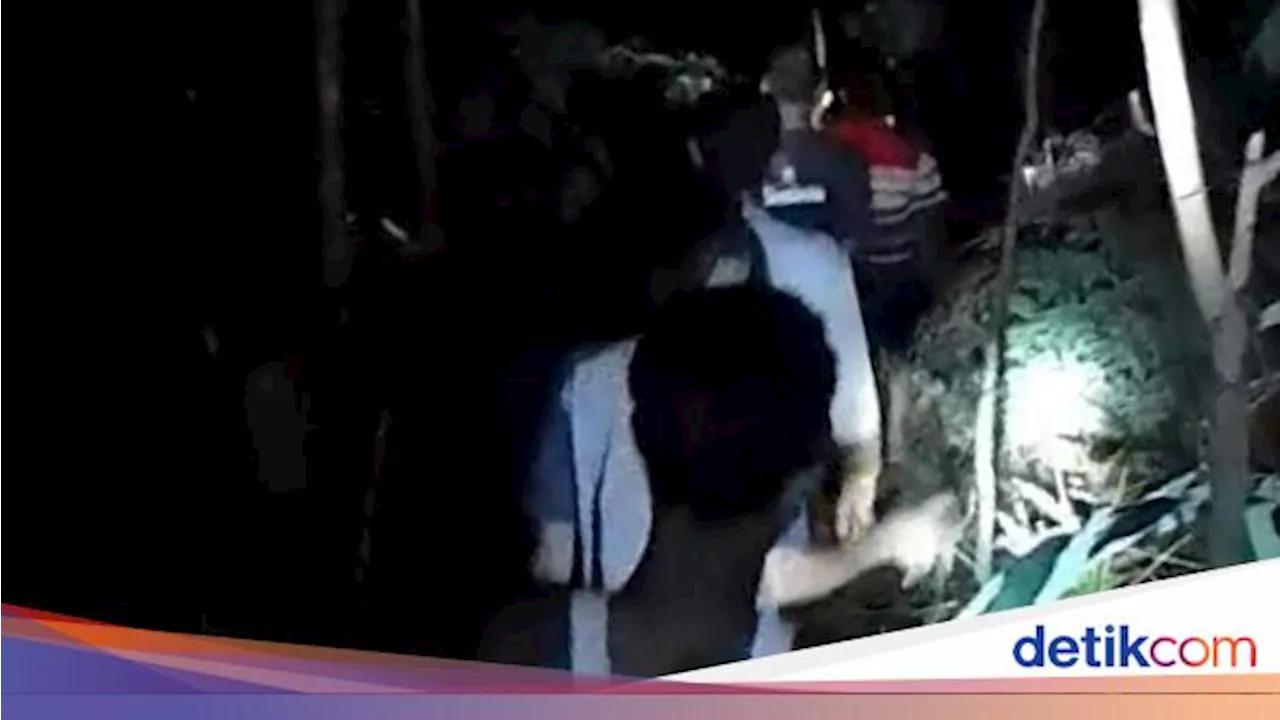 Warga di Musi Rawas Usir Gerombolan Gajah yang Masuk Permukiman