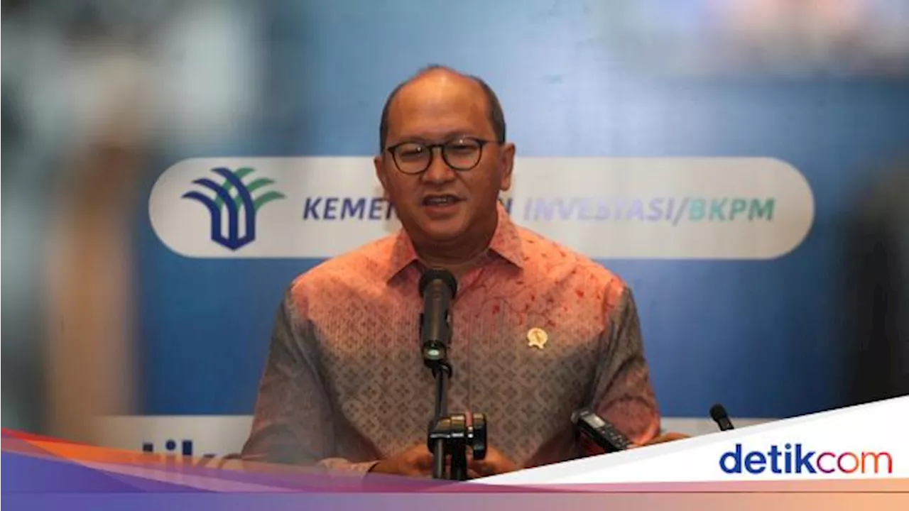 Kejar Target Net Zero Emission 2060, Rosan: Kita Kerja Sama dengan Semua Negara