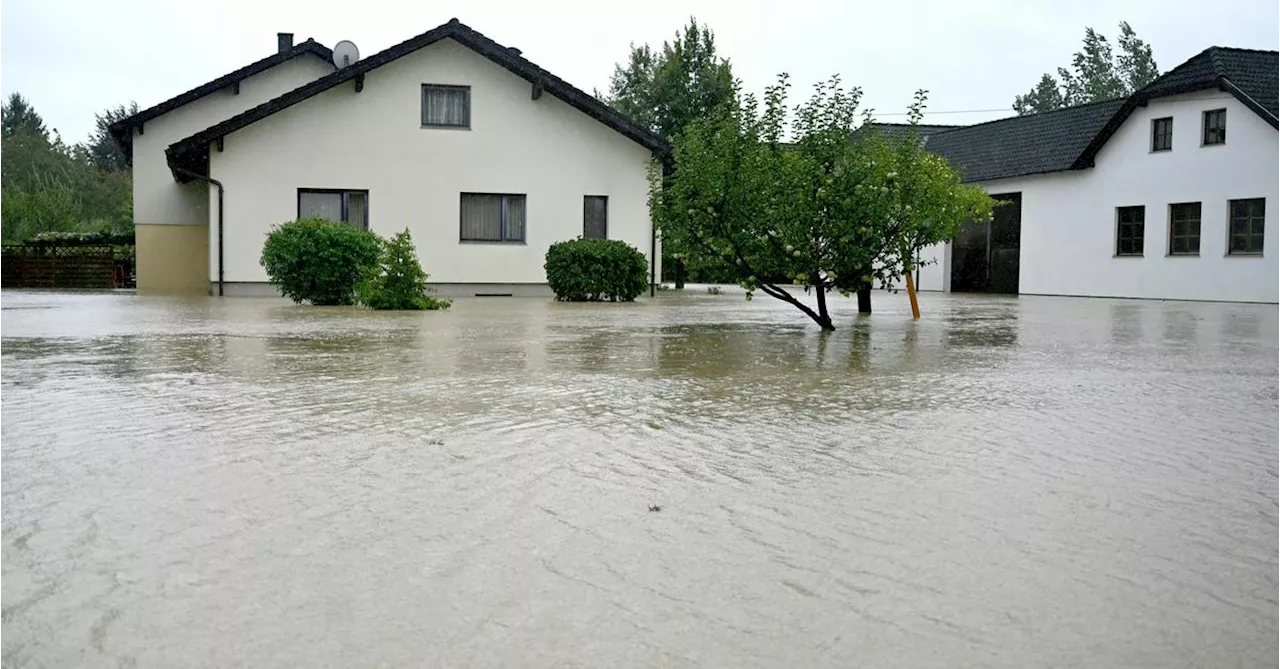 Hochwasser in Niederösterreich: Familie Nährer verliert Existenzgrundlage