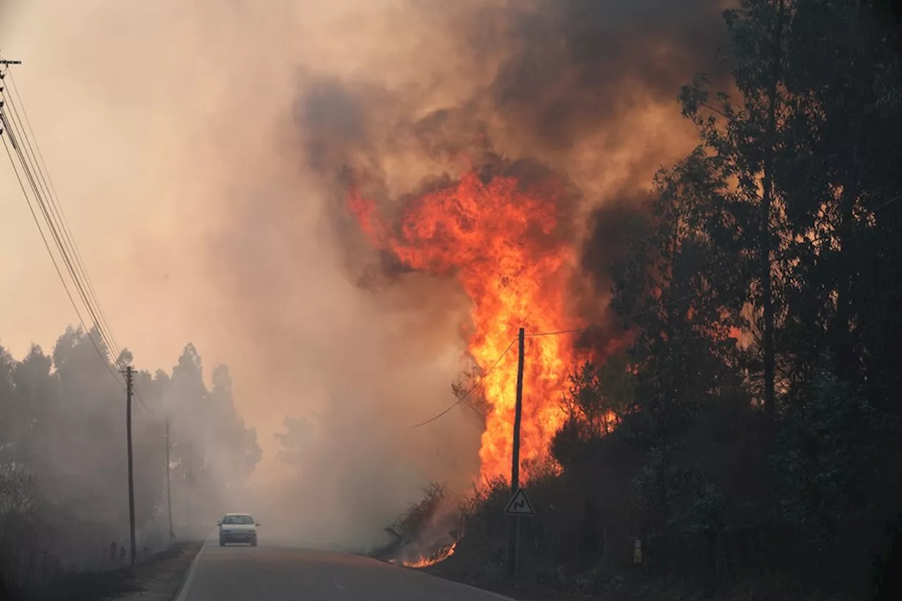 Ascienden a 4 los muertos por los incendios en Portugal