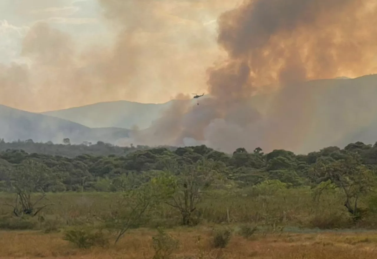 Con fuego técnico, UNGRD propone disminuir incendios forestales