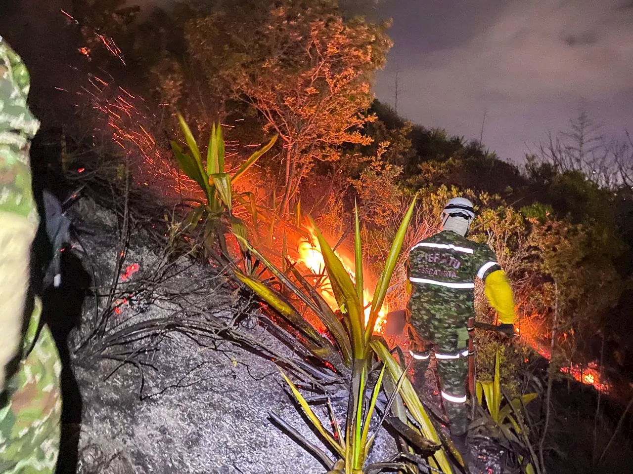 Estos Son Los 20 Incendios Forestales Activos En Colombia Incendios