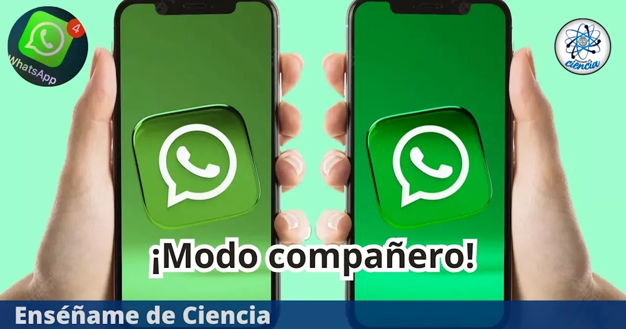 WhatsApp lanza el «Modo Compañero»: ¿Para qué sirve la nueva función?