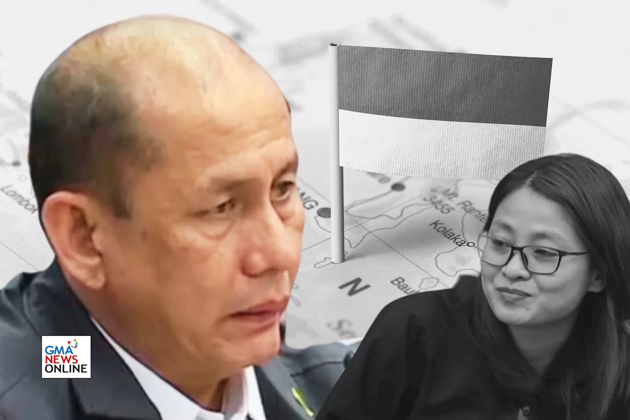 Ex-ISAFP chief: May usap-usapan na isang dating PNP chief ang tumulong umano sa pagtakas ni Alice Guo