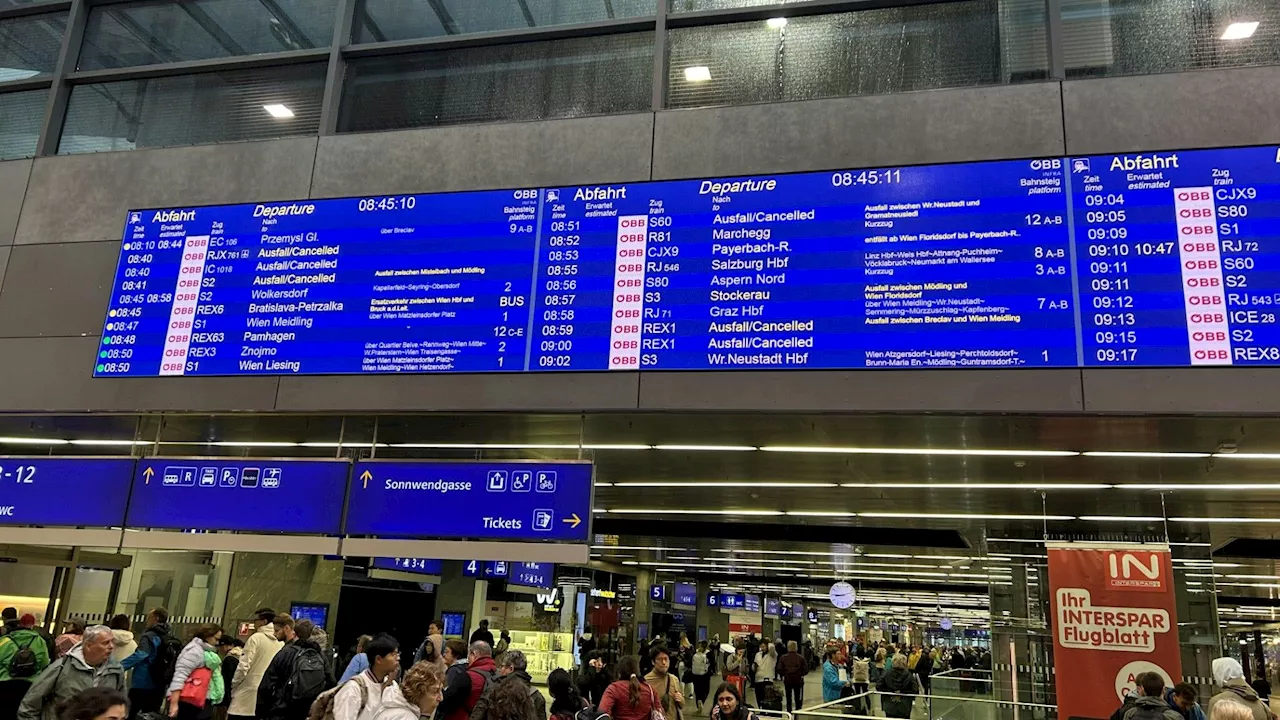 Kuriose Szenen am Wiener Hbf: Während Österreich unter Wasser steht, wüten Reisende über die Öffi-Situation.