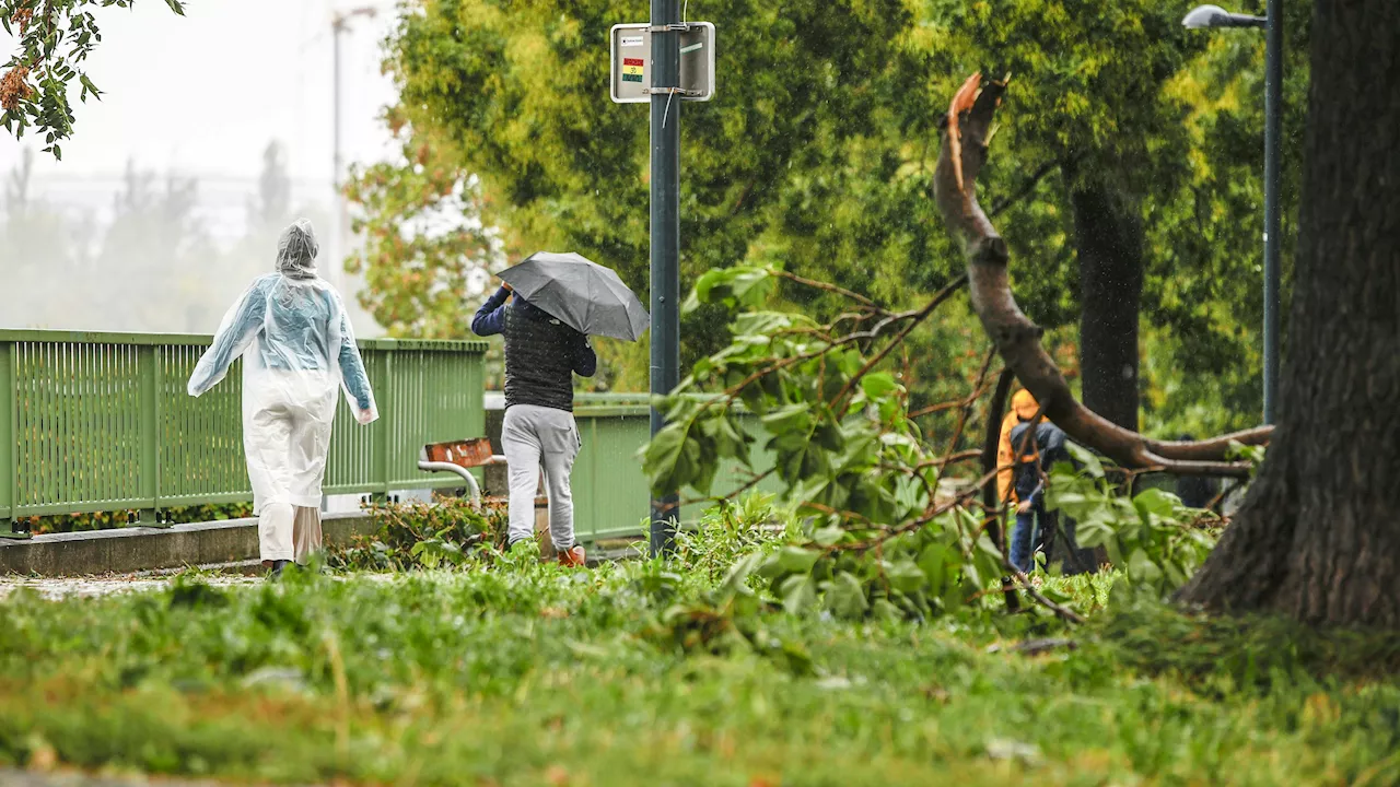  Trotz Wetterbesserung: Wiener Parks bleiben noch zu