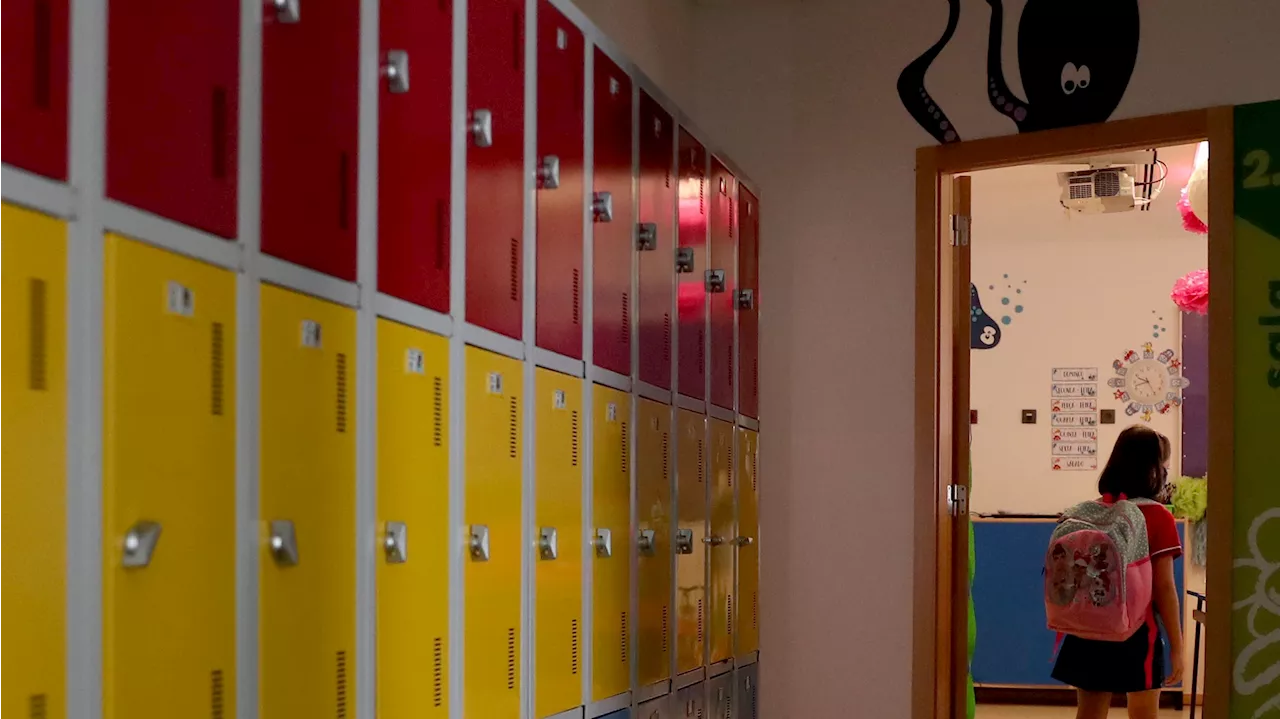 Un niño de 12 años apuñala a seis compañeros en un colegio de Portugal