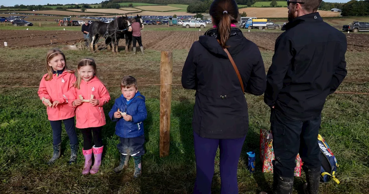 All you need to know about the National Ploughing Championships - tickets, map and getting there