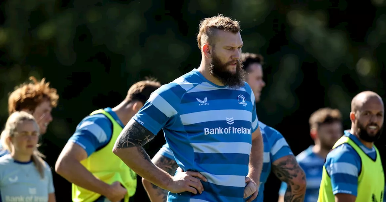 Leinster’s RG Snyman and Jamison Gibson-Park progressing nicely