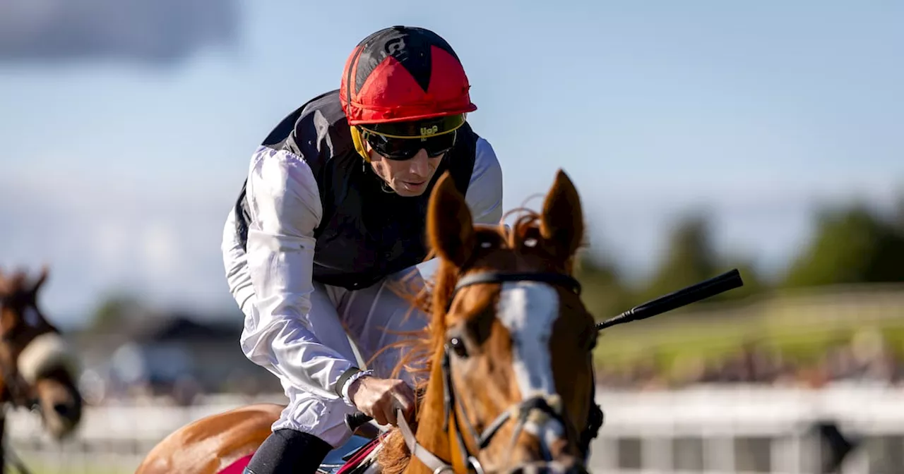 Top flat rider Ryan Moore tries his luck at Punchestown on Tuesday