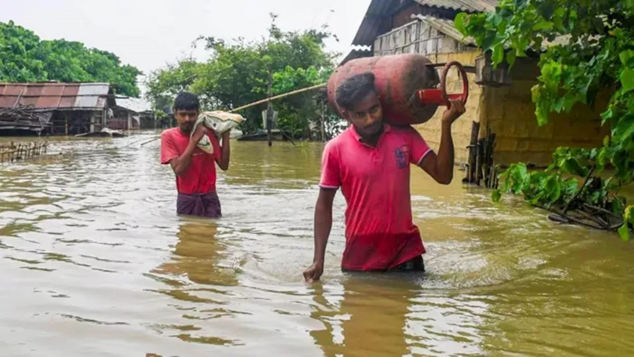 बाढ़ पीड़ितों की धुकधुकी बढ़ा रहा गंगा-यमुना का विकराल रूप, बिहार में टूटा बांध; कई गांवों में घुसा पानी