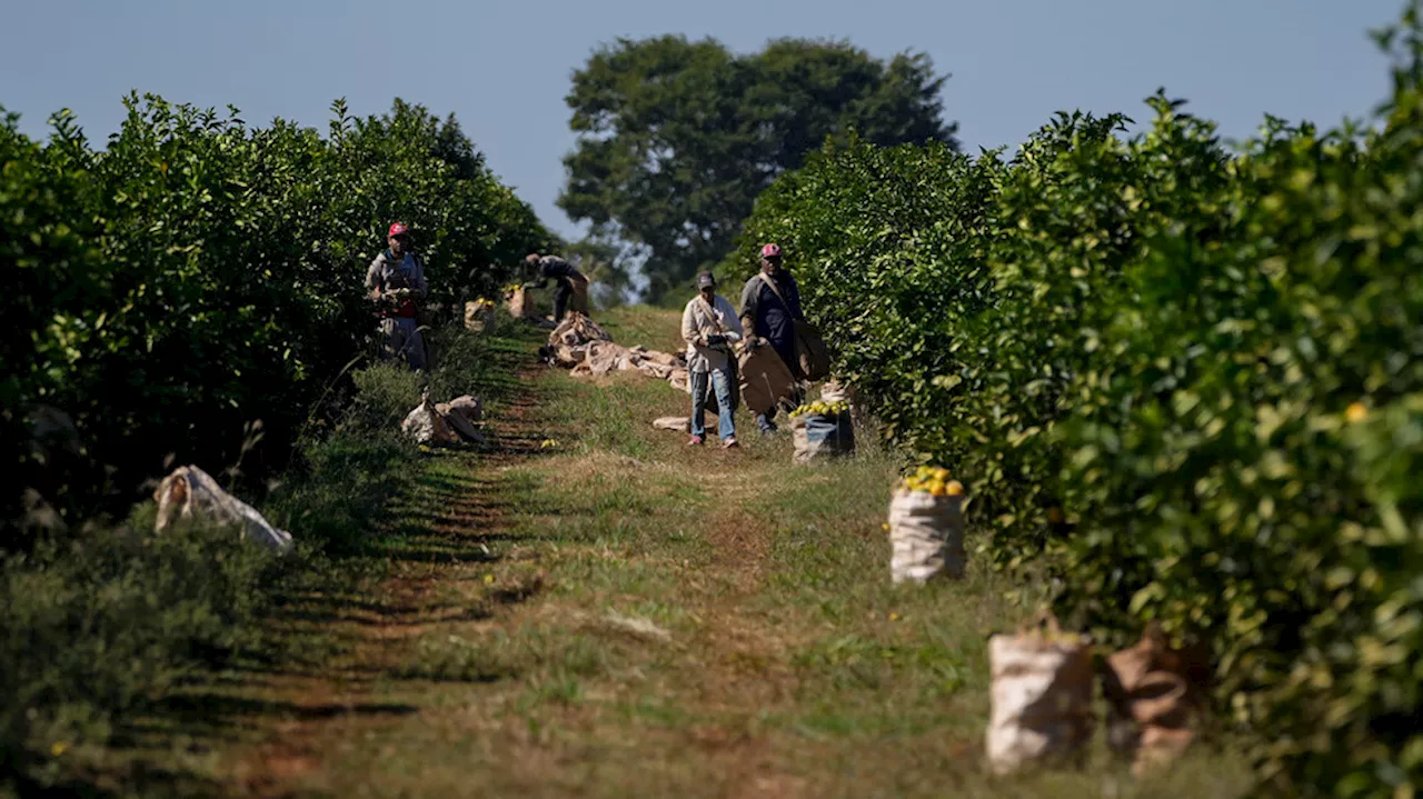 Brazil Sues Landowners For Damages To Jamanxim National Forest